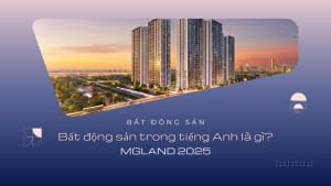 Bat dong san trong tieng anh
